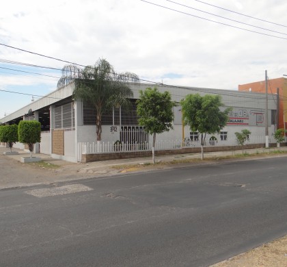 Matriz